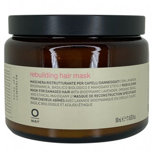 rebuilding hair mask